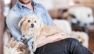 Boka Hotel package with your dog