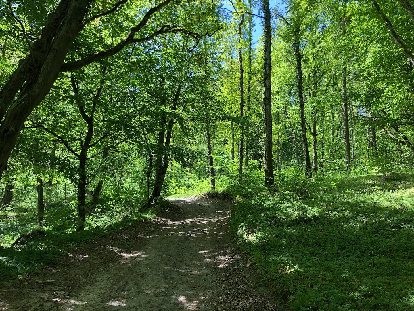 Day Hike with Spa