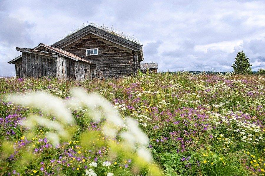 Fotokurs - Landskap