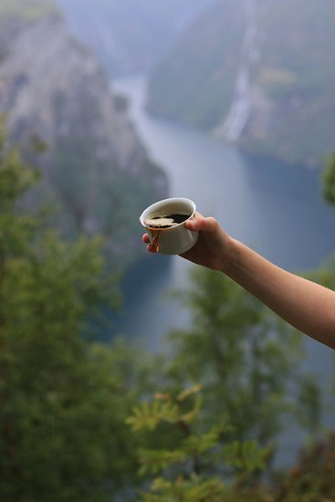 Culinary Experiences in Fjellheimen-image