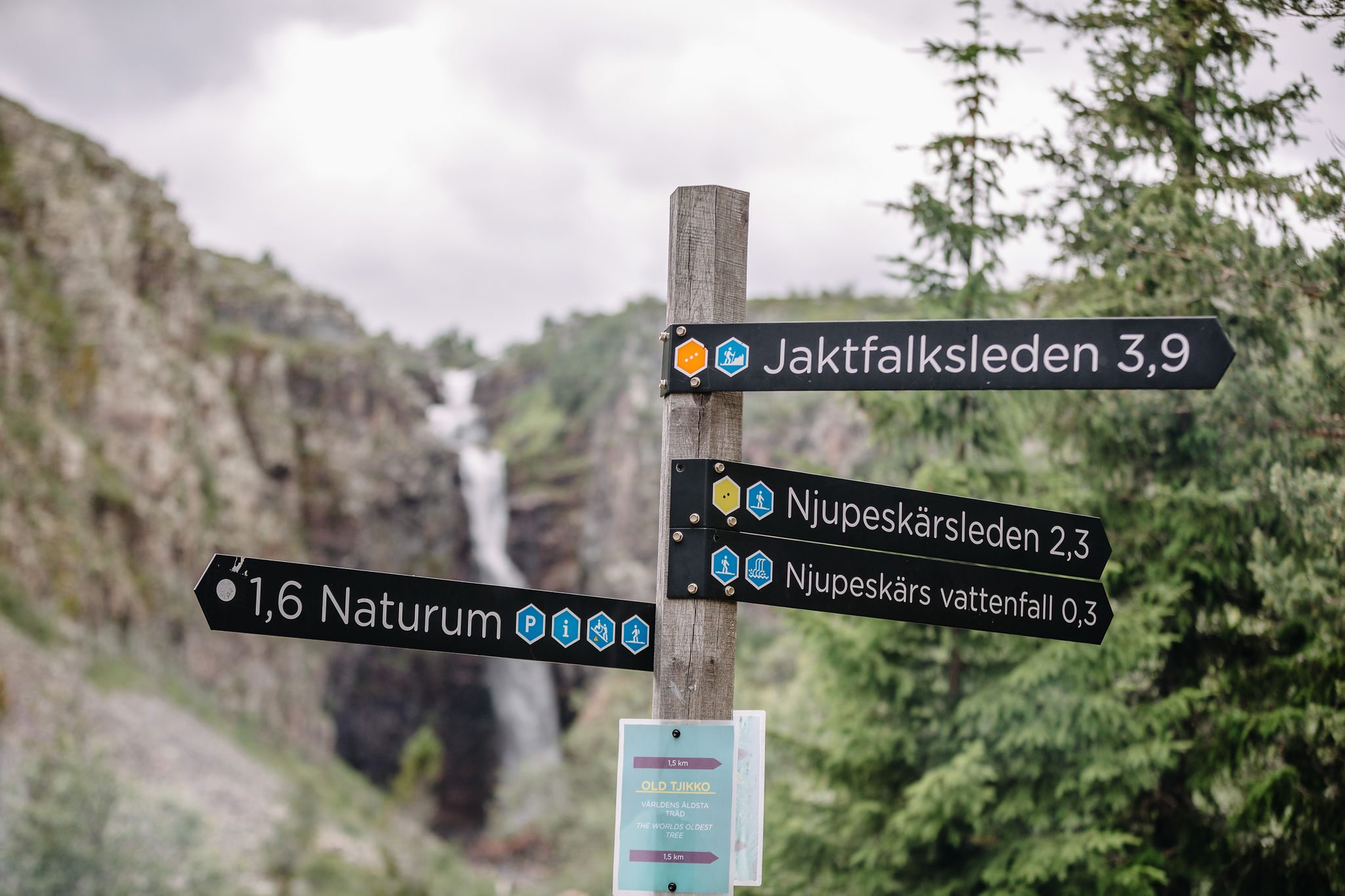 Hotell Fjällheim image 6