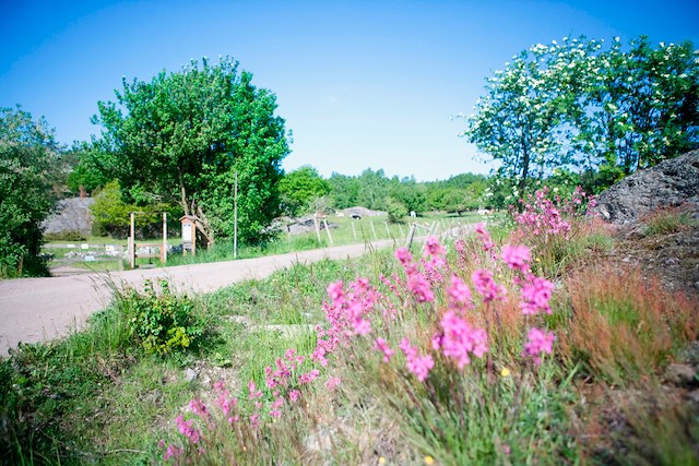 Sommarpaket på Tofta