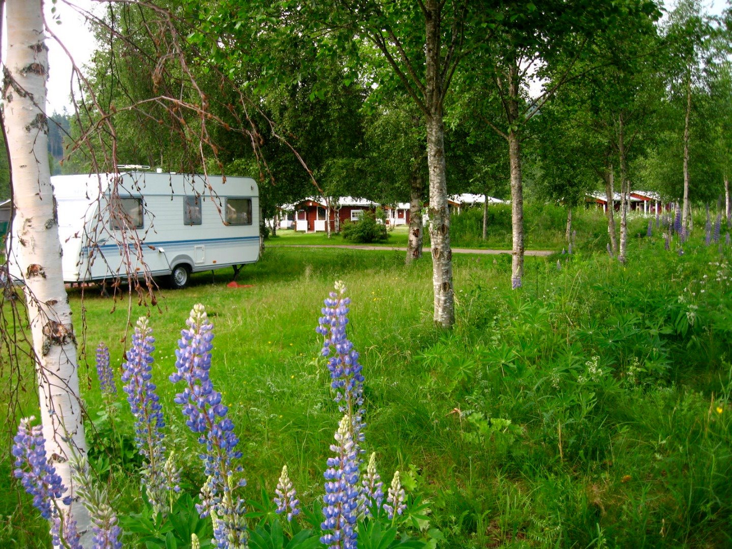 Camping Stellplatz mit Strom