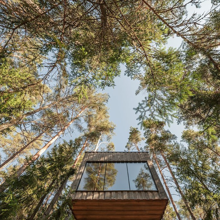 voucher-Presentkort skogssviter