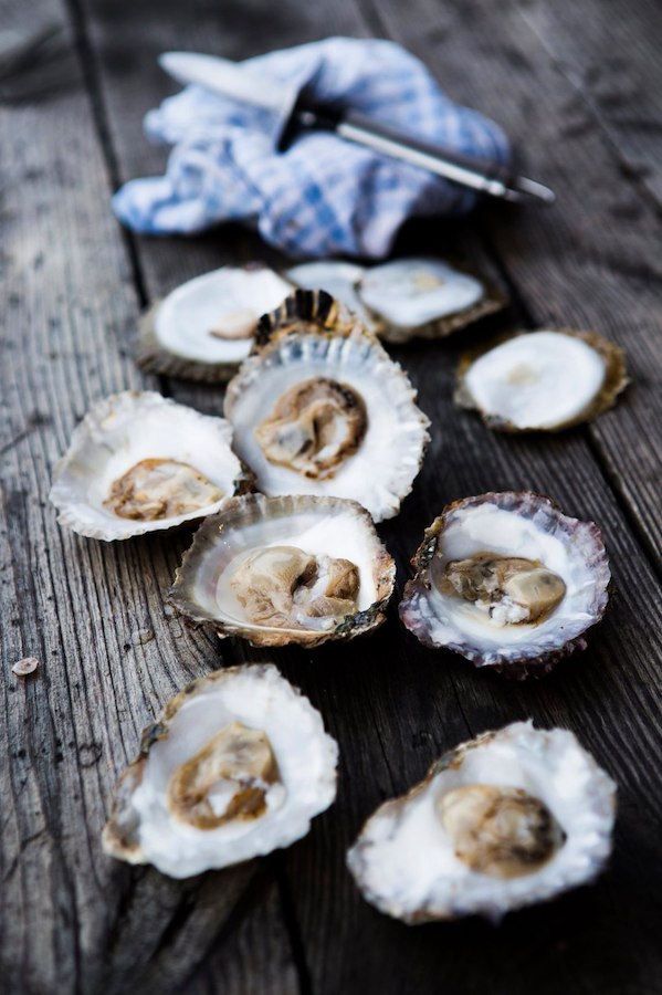 Oyster Taste