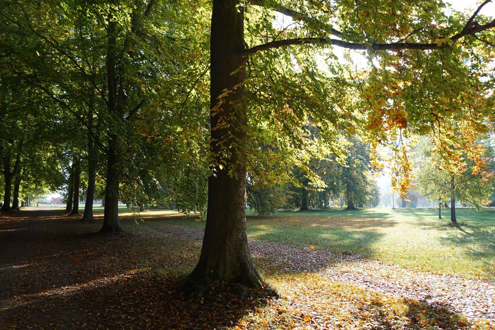 Bäckaskog Slott image 12