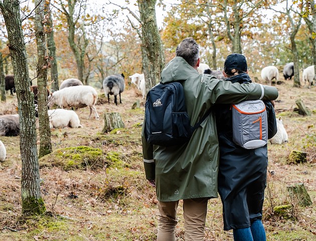 Boka Hiking Getaway på VILLA BRUNNBY  -  Kullahalvön  -  Skandinaviens Toscana