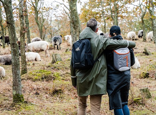 Boka Hiking Getaway