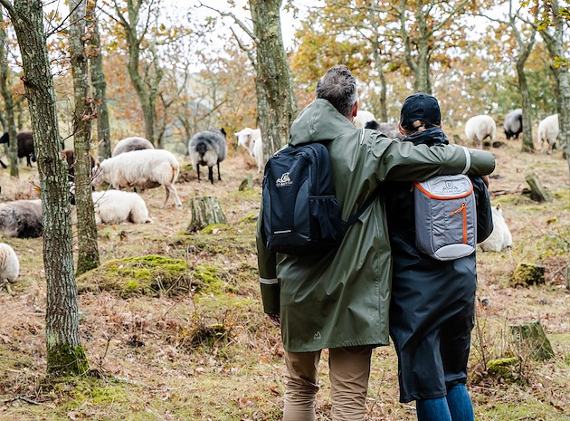 Boka Hiking Getaway på VILLA BRUNNBY  -  Kullahalvön  -  Skandinaviens Toscana