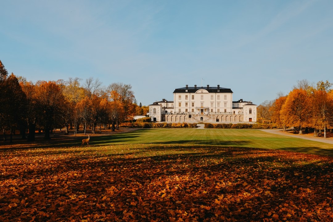Vilthelg på Rosersbergs Slottshotell 7/11