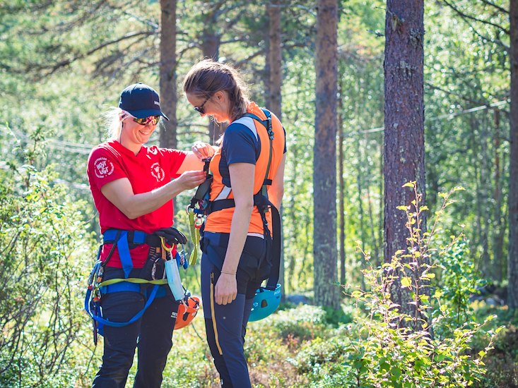 A Tailored Activities Programme-image