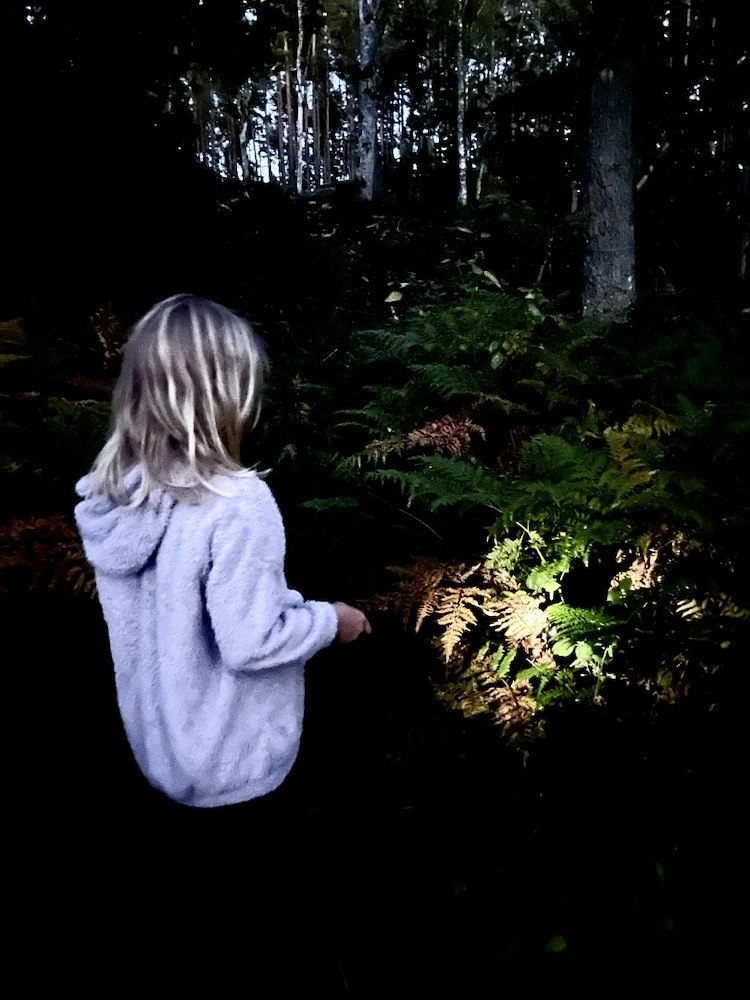 Ytterligare bild 2/19 av Tillsammans - Familjen på höstäventyr! 