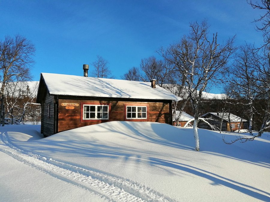 Stuga Harren (husdjur tillåtna)