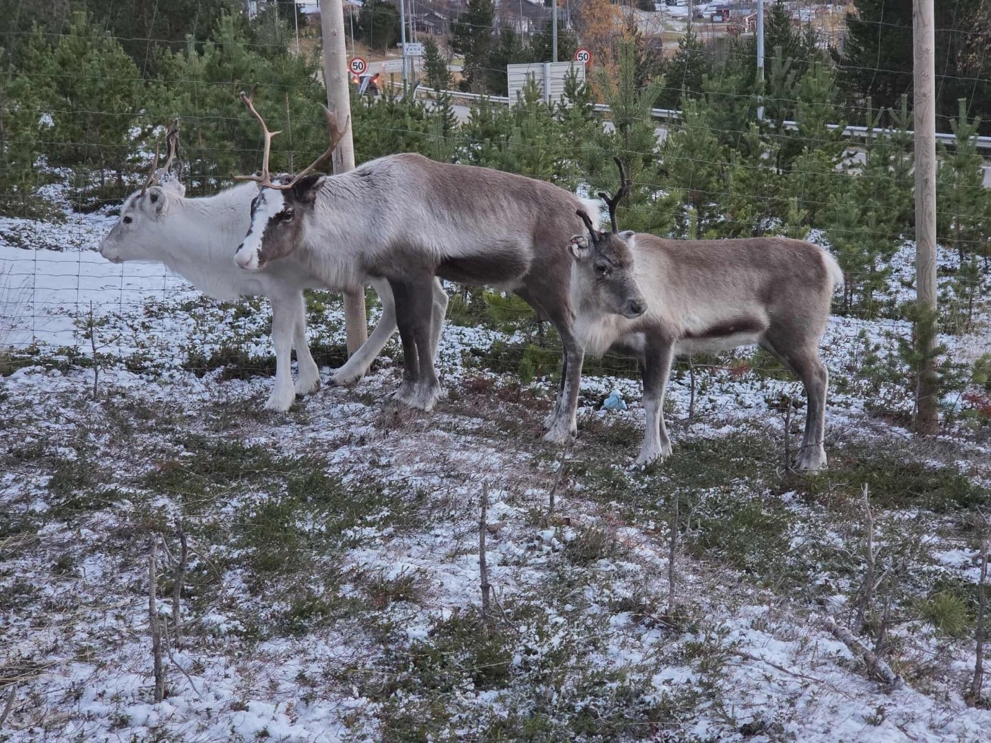 Opplevelser og aktiviteter