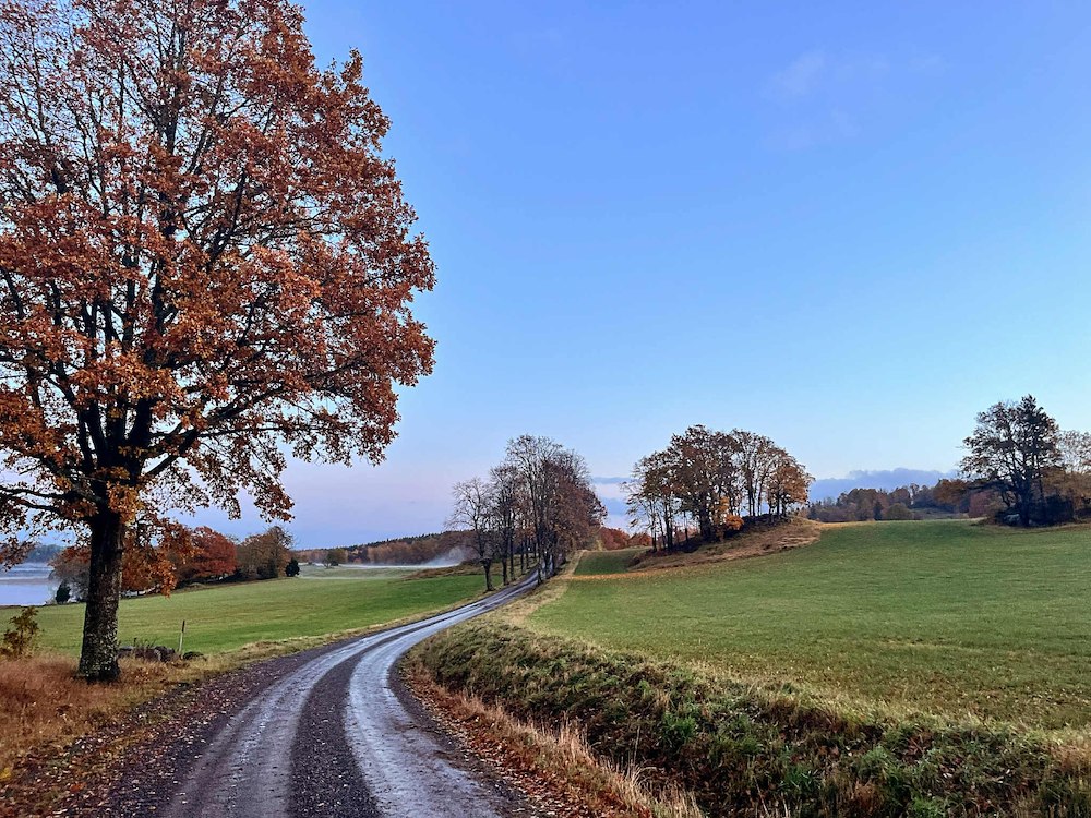 Ytterligare bild 19/19 av Tillsammans - Familjen på höstäventyr! 
