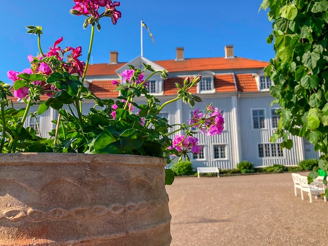 Sommarpaket på Tofta