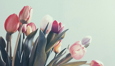 Boka Påsk i Sörmländsk natur - 1 dygn