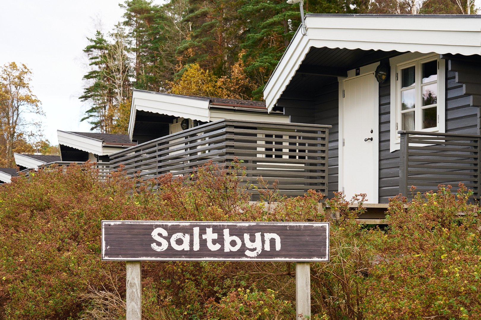Maison de vacances "Saltbyn" (4 lits, 26 m², WC/douche)