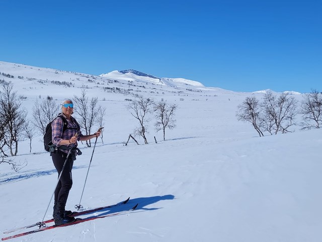 Bo söndag - torsdag