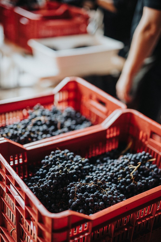 HARVEST DINNER STAY – LÖRDAG 10 OKTOBER