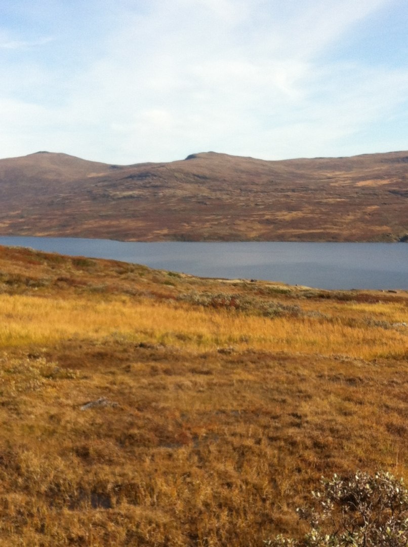 $apiData['content']['article']['title']