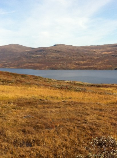 Aktiviteter- Fjellfiske i Oppdal-image