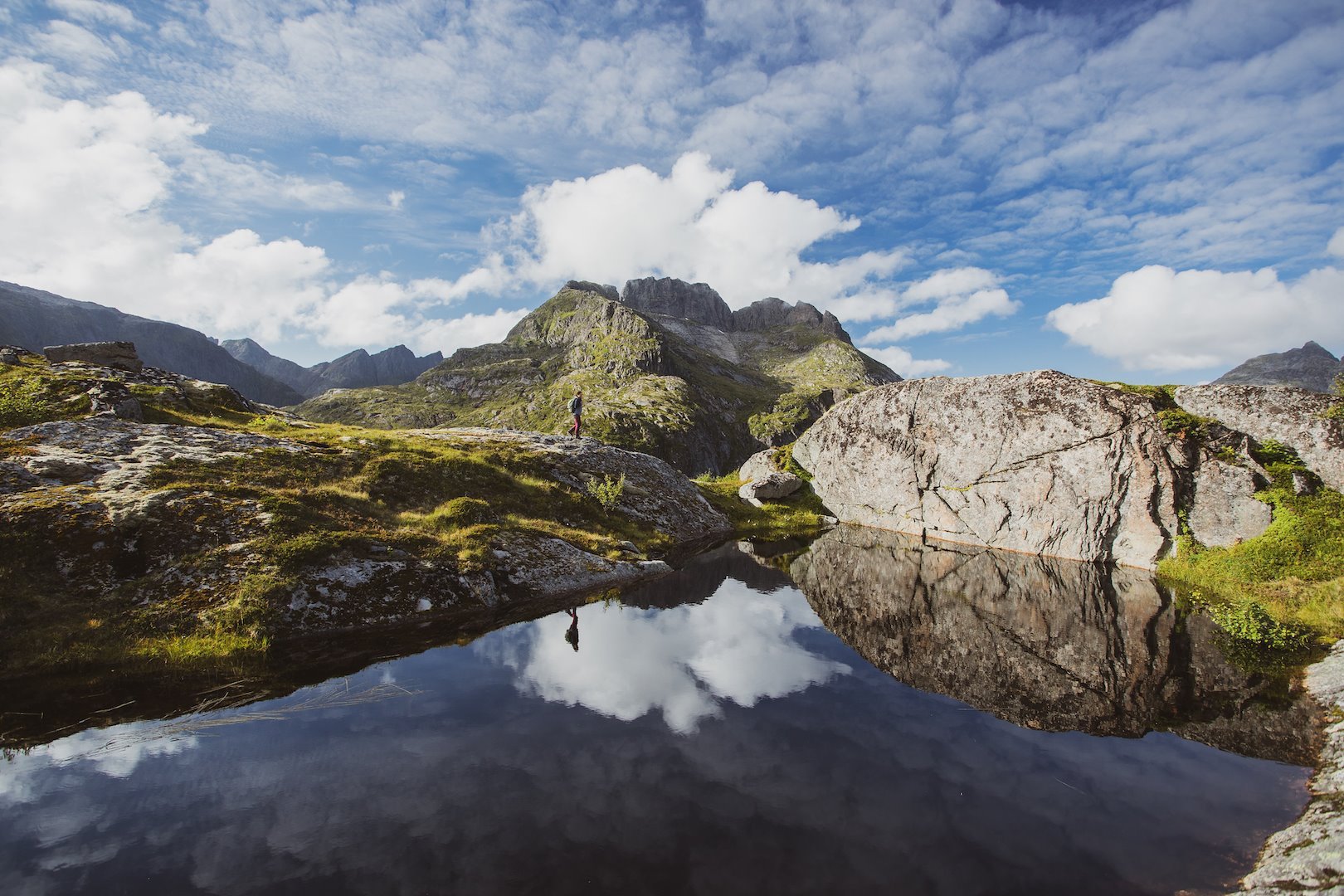 Image of Majestic Wonderland