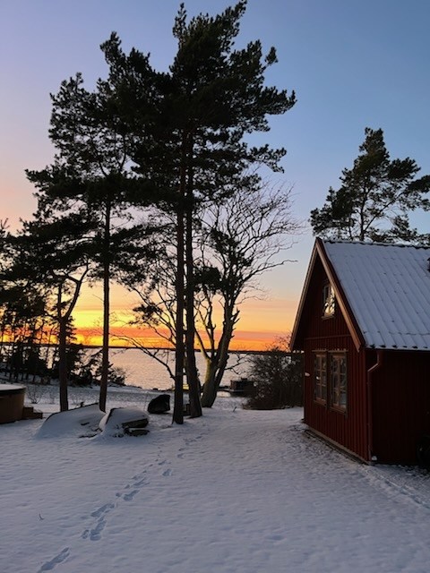 Jullovsmys i Honungsboden