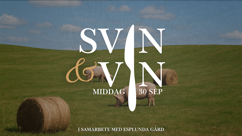 Image of Svin & Vin 30/9