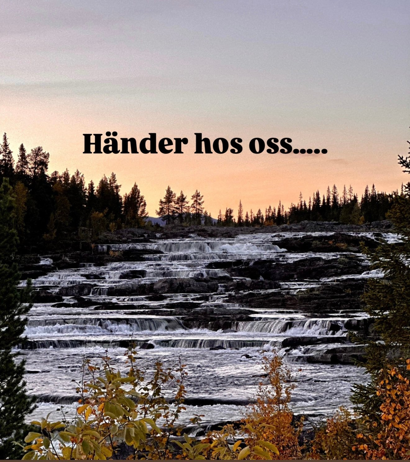 Kommande Evenemang