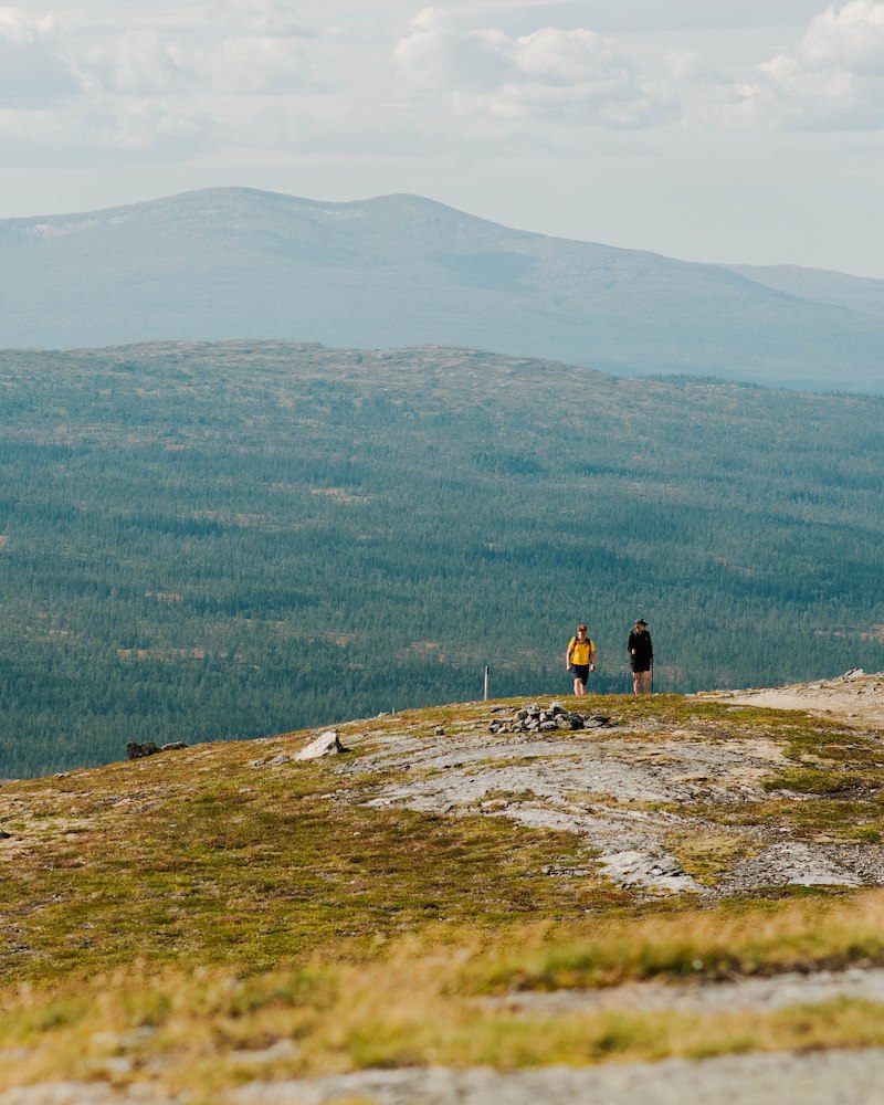 Ytterligare bild 2/5 av Höstfjäll med guldkant